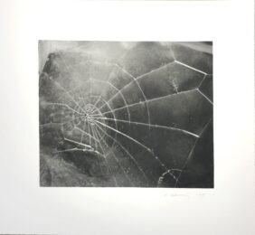 Spider Web by Vija Celmins at Hamilton-Selway Fine Art