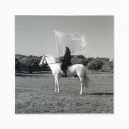 The Hero by Marina Abramović at Dovehouse Contemporary