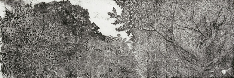 Treetops by Nancy Friese at Oehme Graphics