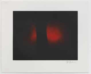 Untitled by Anish Kapoor at Dellasposa