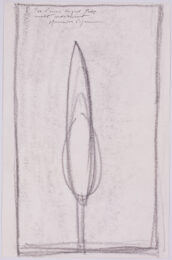 Untitled by Joan Hernandez Pijuan at Sylvan Cole Gallery