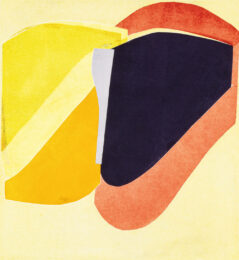 Chroma High 12 by Jill Moser at Oehme Graphics