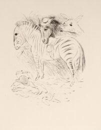 Illustration from ‘Les Adventures du Roi Pausole de Pierre Louys’ by Marcel Vertès at Editions Graphiques Ltd