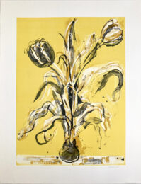 Tulips by Richard Baker at Jungle Press Editions