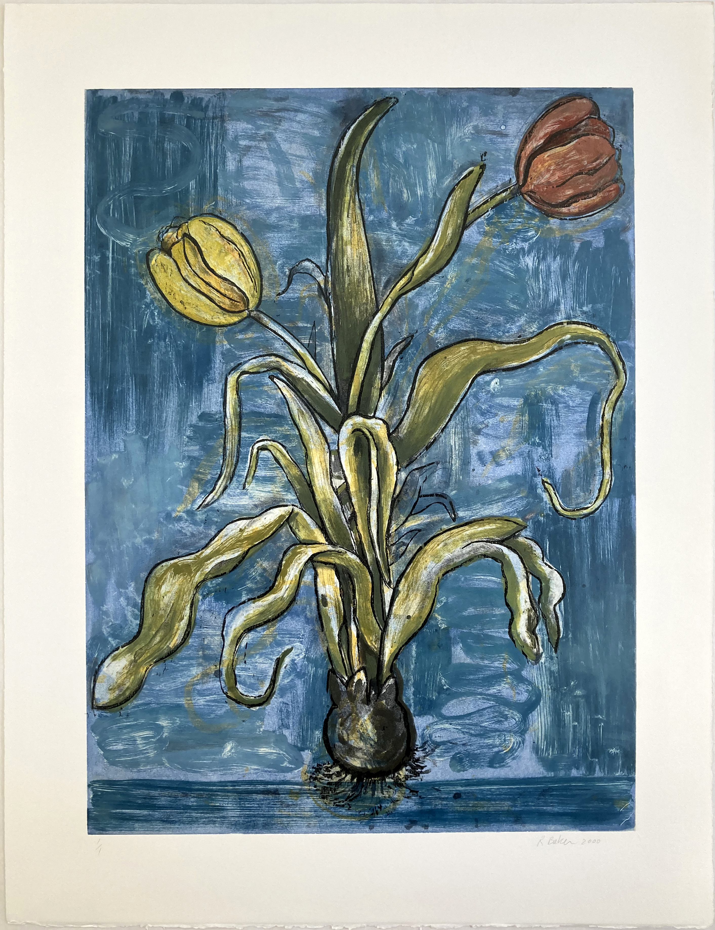Tulips xviii by Richard Baker