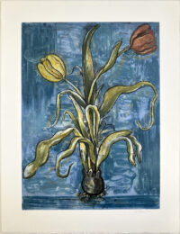 Tulips xviii by Richard Baker at Jungle Press Editions