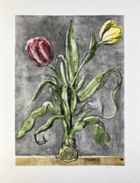 Tulips xvvi by Richard Baker at Jungle Press Editions