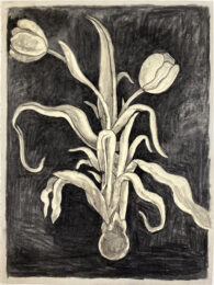 Tulips xxi by Richard Baker at Jungle Press Editions