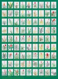 Aechmea Bromeliad Poster by Jonas Wood at Cirrus Gallery + Cirrus Editions Ltd.
