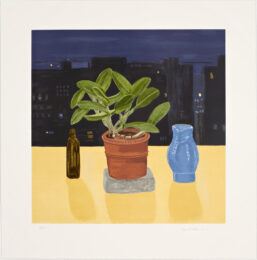 At Night by Jane Freilicher at Jungle Press Editions