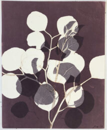 Botanicals by Jennifer Marshall at Jungle Press Editions