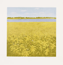 Goldenrod by Jane Freilicher at Jungle Press Editions