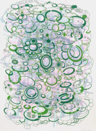Hoop-la by Jane Fine at Jungle Press Editions