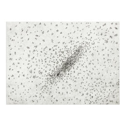 Insect Slant (Ants) by Ed Ruscha at MLTPL