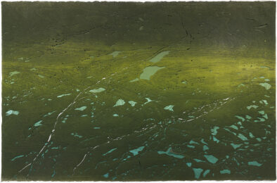 Private: Lost City No. 14 by Susan Goethel Campbell at Aspinwall Editions