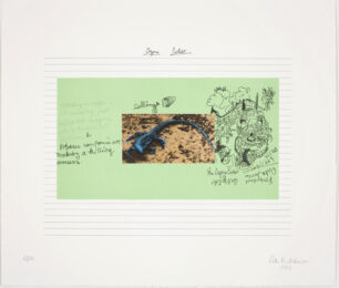 Ozone Eater by Peter Hutchinson at Jungle Press Editions