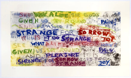 See What A Life by Joan Snyder at Jungle Press Editions