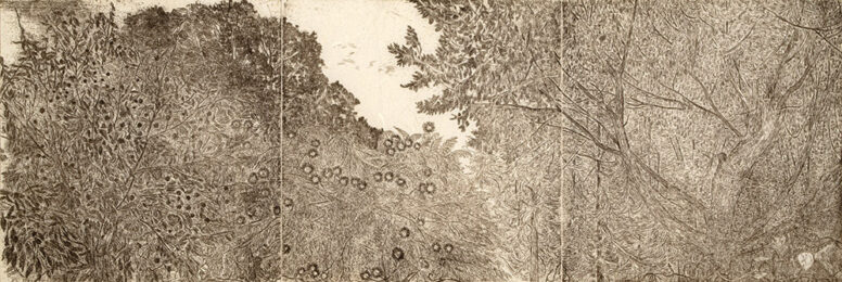 Treetops (Sepia) by Nancy Friese at Oehme Graphics
