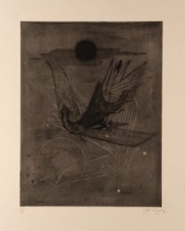 Bird by Johnny Friedlaender at Editions Graphiques Ltd