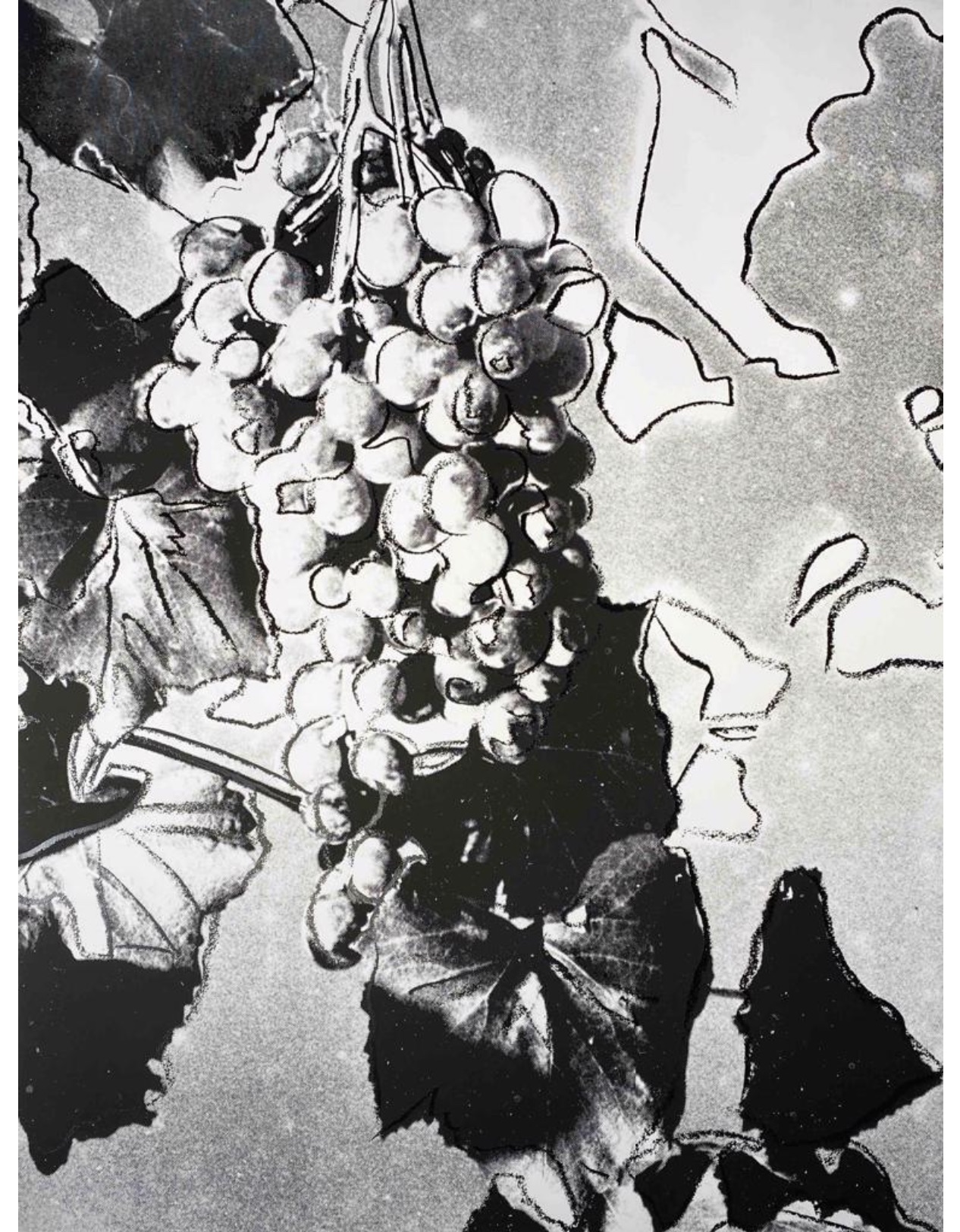 Grapes by Andy Warhol