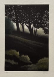 Hilltop by Robert Kipniss at ebo Gallery