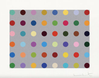 Histidyl by Damien Hirst at Dovehouse Contemporary
