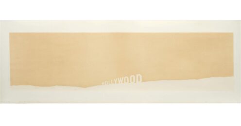 Hollywood Fruit-Metrecal by Ed Ruscha at Gregg Shienbaum Fine Art
