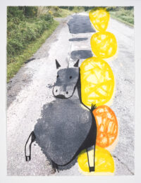 Pack Animal by David Humphrey at Flying Horse Editions