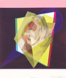 Precarious World by Carmon Colangelo at Flying Horse Editions