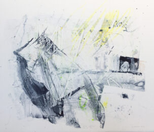 South Lowell FHE MT 72 by Damian Stamer at Flying Horse Editions
