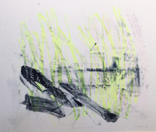 South Lowell FHE MT 73 by Damian Stamer at Flying Horse Editions
