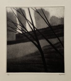 Trees bending in a breeze by Robert Kipniss at ebo Gallery