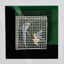 Tweeting (Two Birds) by Alan Brown at Robert Fontaine Gallery