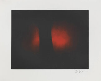Untitled by Anish Kapoor at Dovehouse Contemporary