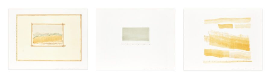Aquatint, Sugarlift and Golden Changes by Sylvia Plimack Mangold at Krakow Witkin Gallery