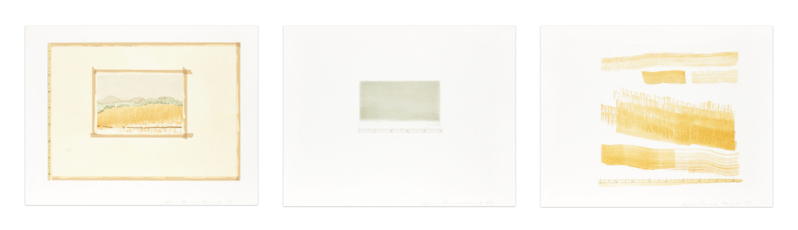 Aquatint, Sugarlift and Golden Changes by Sylvia Plimack Mangold