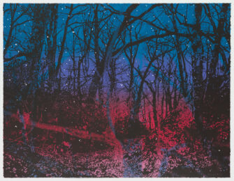Sous Bois by Sebastiaan Bremer at Graphicstudio