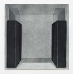 Vexation Pos. 3 by Richard Pasquarelli at VanDeb Editions