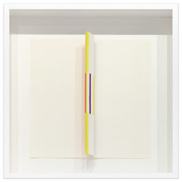 Objeto Ativo by Willys de Castro at Krakow Witkin Gallery