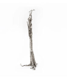 Pequi Tree by Ai Weiwei at Dovehouse Contemporary