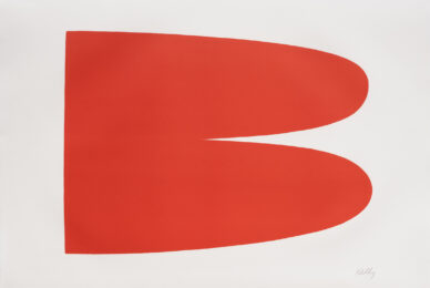 Red-Orange by Ellsworth Kelly at Susan Sheehan Gallery