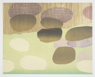 Sandia I by Sarah Smelser at Manneken Press (IFPDA)