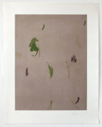 Untitled by Bas Van den Hurk at Jungle Press Editions