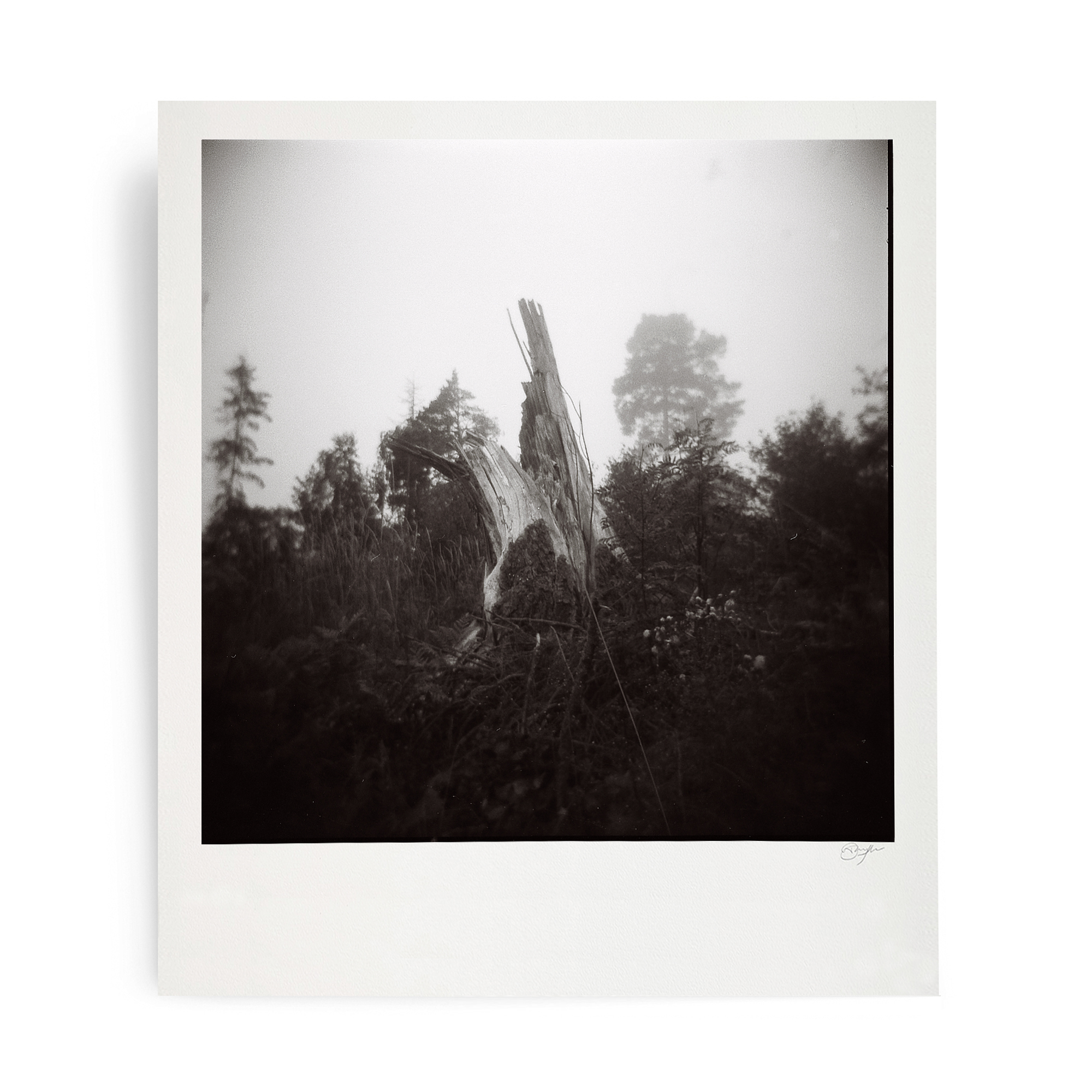 From The Shadows – Deluxe Book & Art Print by Danny Larsen
