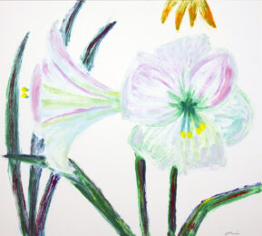 Amaryllis 1 by Ai Sasaki at KIDO Press