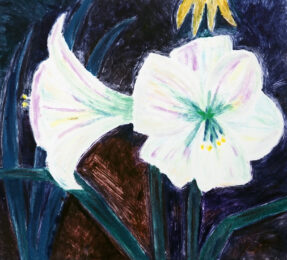 Amaryllis 3 by Ai Sasaki at KIDO Press
