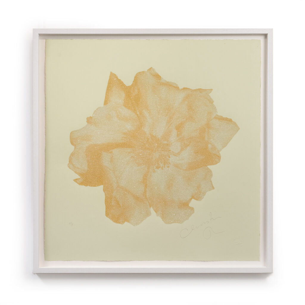 New Rose – Champagne Gold by Christian Furr