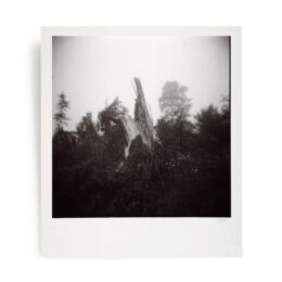 From The Shadows – Deluxe Book & Art Print by Danny Larsen at RedHouse Gallery
