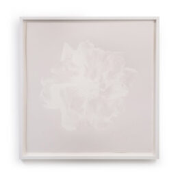 New Rose – Silver Screen by Christian Furr at RedHouse Gallery