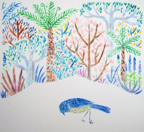 New Zealand Robin 1 by Ai Sasaki at KIDO Press